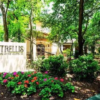 Houstonian Trellis Spa TX - 3